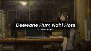 Deewane Hum Nahi Hote Perfect Slowed  Reverb Bonus [upl. by Tan606]