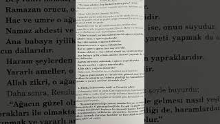 İslamiyetin misali yerinde sabit duran bir ağacın misalidirAbdulkadir Geylani hazretleri [upl. by Sakul]