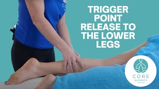 Trigger Point Release to the lower leg  Advanced Massage Techniques [upl. by Rohn]