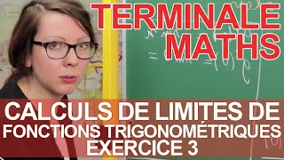 Calculs de limites de fonctions trigonométriques  Ex 3  Maths terminale  Les Bons Profs [upl. by Susej]