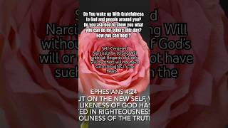 Self centered or Narcissistic Heart vs Humble  Ephesians 424 [upl. by Opiuuk240]