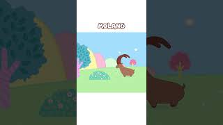 Molang And Piu Pius New Friend Ibex shorts funnyshorts molang cartoon [upl. by Alaet285]