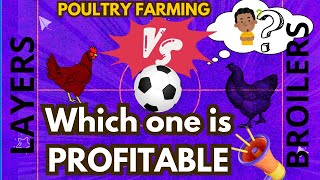 Poultry Farming Broilers Vs Layers which one is profitable [upl. by Zanahs92]