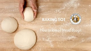 Kneading How to Knead Bread Dough [upl. by Eetnwahs]