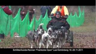 SchlittenhundeRennen quotFrankonia Openquot LaufSchönberg 1920112011 [upl. by Nnylsaj]