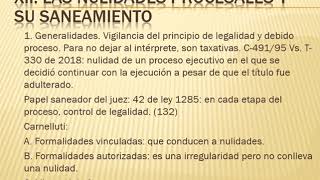 40 Las nulidades procesales y su saneamiento [upl. by Faydra]