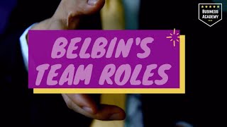 Belbin Team Roles [upl. by Dielu816]