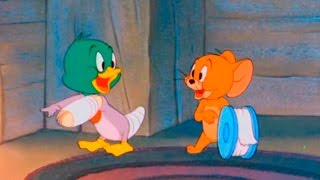 Tom and Jerry  Episode 64  The Duck Doctor 1952 [upl. by Narol]