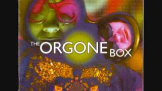 Orgone Box  07 Find The One Ballroom Mix [upl. by Judsen]