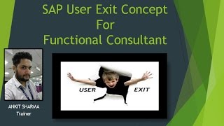 SAP User Exit Concept for Functional Consultant [upl. by Zacarias842]