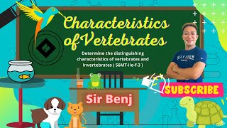 Science 6 Quarter 2 Characteristics of Vertebrates  Classification of Vertebrates [upl. by Ajnot271]