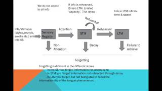 Memory  The MultiStore Model amp Capacity Duration amp Coding [upl. by Christianson]