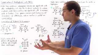 Base Isomerization of Carbohydrates [upl. by Notak]