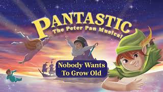 Nobody Wants To Grow Old  The Peter Pan Musical  Pantastic [upl. by Nairadas]