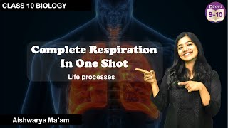 Complete Respiration in One Shot  Life Processes  L3 Class 10 Science CBSE Boards 2025 [upl. by Oihsoy]