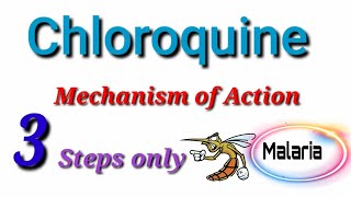 chloroquine mechanisms of action medicinal chemistry  Chloroquine MOA malaria  Antimalarial [upl. by Shedd533]