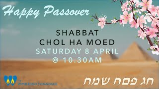 Pesach  Passover 2023  Shabbat Chol HaMoed Morning Service  8 April [upl. by Eirb]