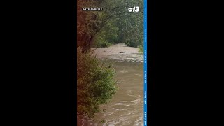 Flooding in Henderson County North Carolina [upl. by Leinaj]