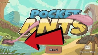 Pocket Ants  The Return [upl. by Bordie]