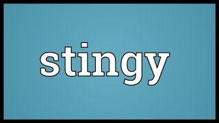 Stingy Meaning [upl. by Natal67]