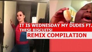 These Biscuits Ft It Is Wednesday My Dudes Collab  REMIX COMPILATION [upl. by Lemrahc]