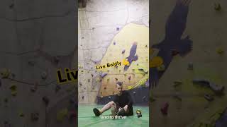 Live Boldly💪🔥 shorts trending viral motivational inspiration [upl. by Nevuer399]