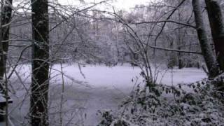 Unheilig Winterland  YouTube Music [upl. by Ailadi435]