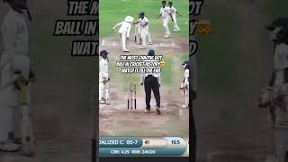 The most chaotic dot ball in cricket history😇cricketloverscricketmeme [upl. by Nerrot]