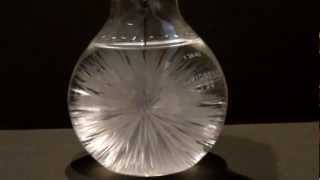 hot ice sodium acetate beautiful science experiment [upl. by Iramohs]