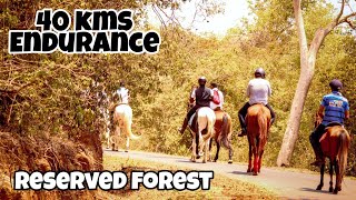 Cross Country Horse Ride  1st time in Tamilnadu  40 kms [upl. by Minor183]