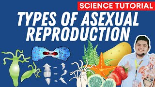 TYPES OF ASEXUAL REPRODUCTION  SCIENCE 7 QUARTER 2 WEEK 5 [upl. by Ennis]