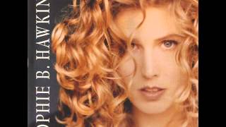 Sophie B Hawkins  Only Love Radio Edit [upl. by Yesdnil5]