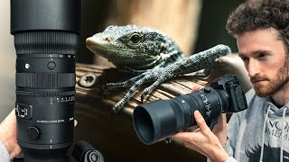 Test Sigma 70200mm F28 DG DN OS Sports  le meilleur des 70200mm [upl. by Campbell]