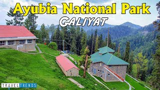 Ayubia National Park  Ayubia Top  Muree Pakistan [upl. by Territus]