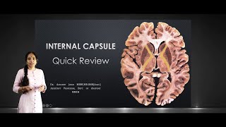 Internal Capsule Quick Review [upl. by Menendez]