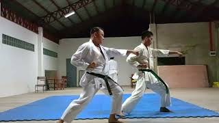 Heian Shodan Kata Bushido Karate [upl. by Hsaniva]