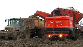 Bieten oogst Stuck in the mud Agrifac Hexxact Opti Traxx Loonb Voshart amp Veltman [upl. by Sevein]