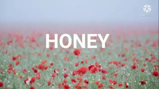 Honey Bobby Goldsboro Lyrics [upl. by Devin714]