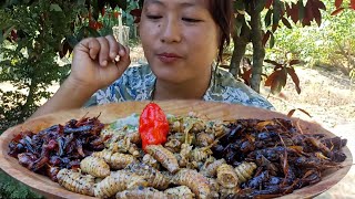 Eating precious spicy insects  spider silkworm grasshopper amp Ayekibe [upl. by Gregor]