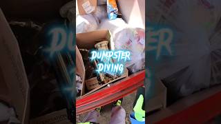 Dumpster diving for pet stairs and home goods Part 1 of 2dumpsterdiving pets shorts dogs gnome [upl. by Uchida]