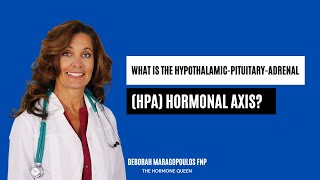 What is the HypothalamicPituitaryAdrenal HPA Hormonal Axis [upl. by Godred]