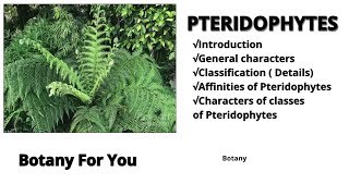 What is Pteridophytes Introductioncharacters classification  Affinities characters of classes [upl. by Nnaaras]