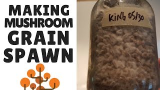 How To Make Mushroom Grain Spawn Preparing the Grain [upl. by Cynara875]