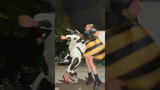 noi che ci dirigiamo alla cena a tema animalier 🐄🐝  TT LE GIRLZ [upl. by Ladiv795]