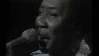 Muddy Waters  HoochieCoochie Man 1972 [upl. by Rask]