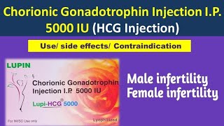 LupiHCG 5000 IU injection  Chorionic Gonadotrophin Injection IP 5000 IU Use [upl. by Leva586]