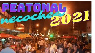 PEATONAL 83  NECOCHEA 2021 [upl. by Nedrob]