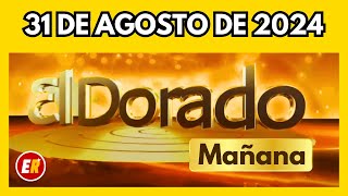 Resultado DORADO MAÑANA del sábado 31 de agosto de 2024 [upl. by Ainadi]