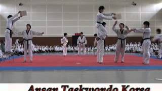 Ansan Taekwondo Korea Live Show In PPMI Assalaam Solo [upl. by Laband]