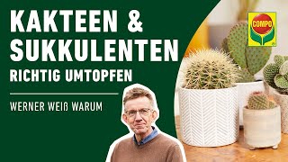 Kakteen und Sukkulenten richtig umtopfen [upl. by Rai]